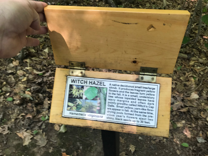 After you flip open the wooden lid, there is trail info inside